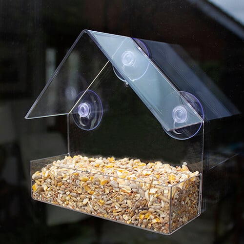 TRANSPARENT BIRD FEEDER