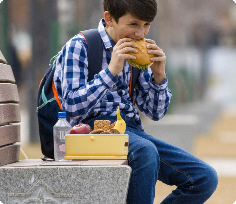 PORTABLE HEATING LUNCHBOX