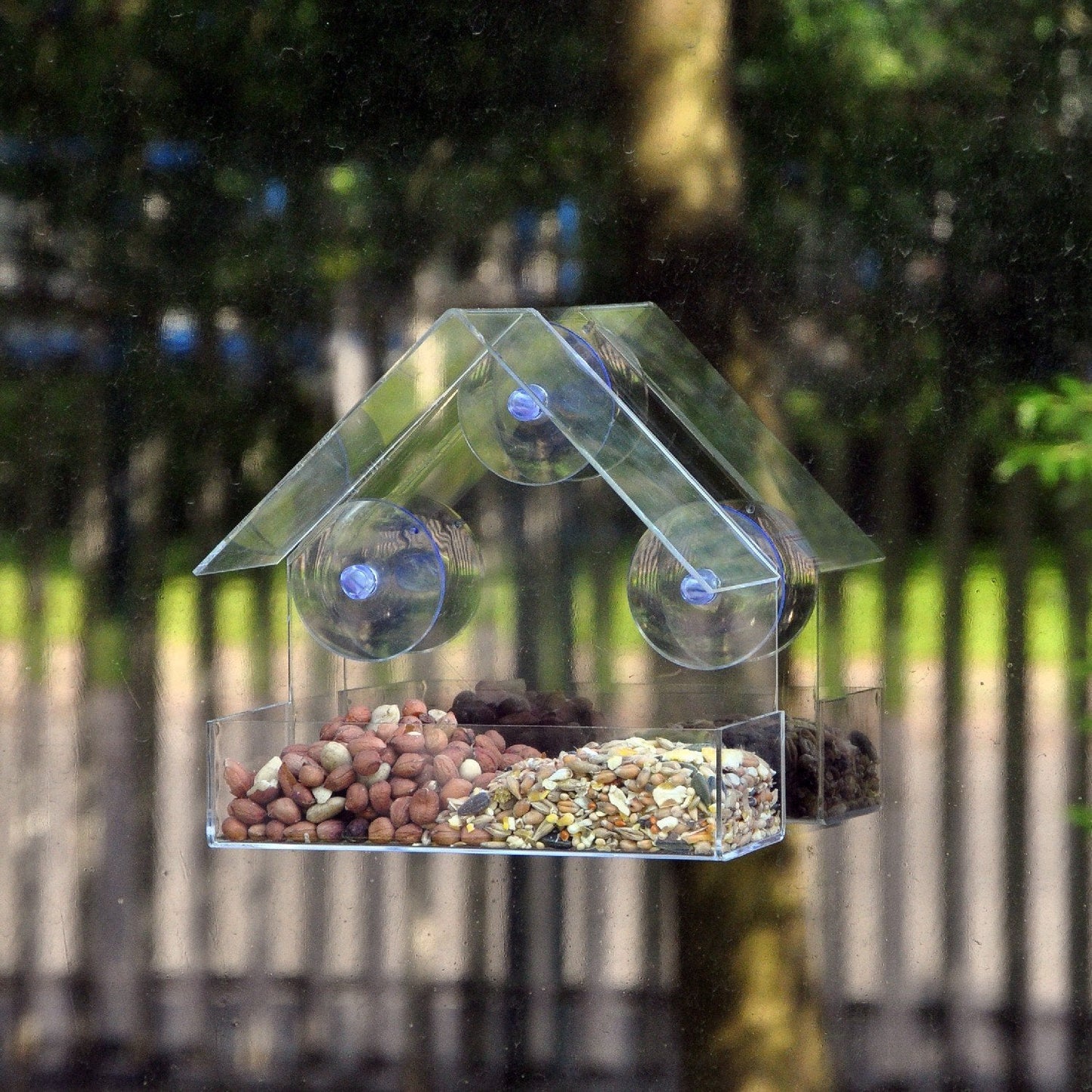 TRANSPARENT BIRD FEEDER