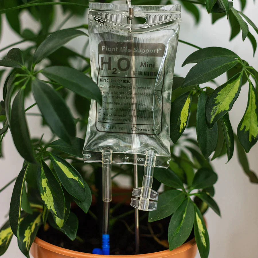 IV Plant Life Support