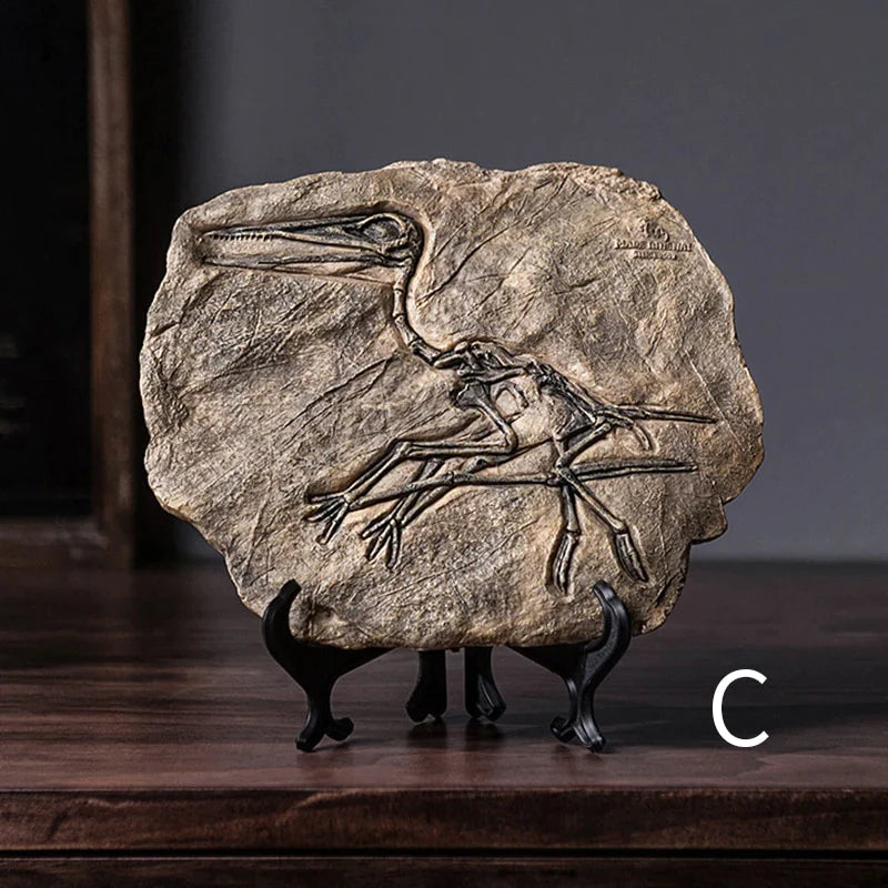 Dinosaur Fossil Specimen