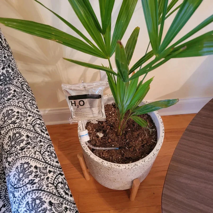 IV Plant Life Support