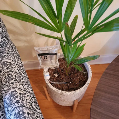 IV Plant Life Support