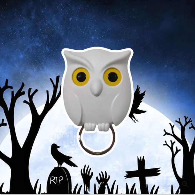 Night Owl Magnetic Wall Key Holder