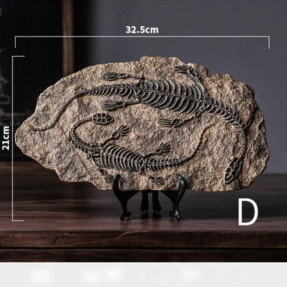Dinosaur Fossil Specimen